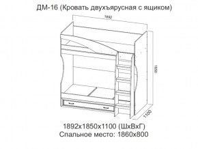 ДМ-16 Кровать двухъярусная с ящиком в Чердыни - cherdyn.магазин96.com | фото