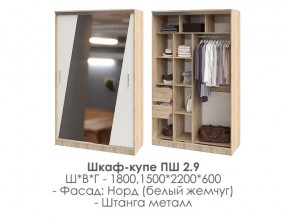 шкаф-купе ПШ-2.9 1500 Норд Белый жемчуг 1500 в Чердыни - cherdyn.магазин96.com | фото