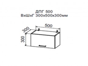 Шкаф верхний ДПГ500 горизонтальный в Чердыни - cherdyn.магазин96.com | фото