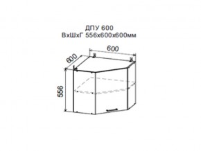 Шкаф верхний ДПУ600 угловой в Чердыни - cherdyn.магазин96.com | фото